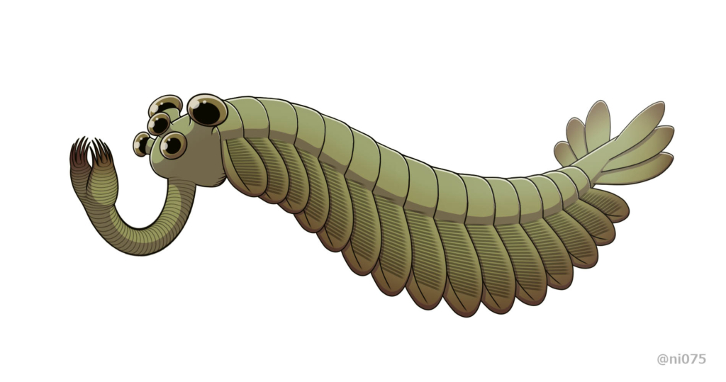 Opabinia